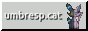 umbresp/sasha
